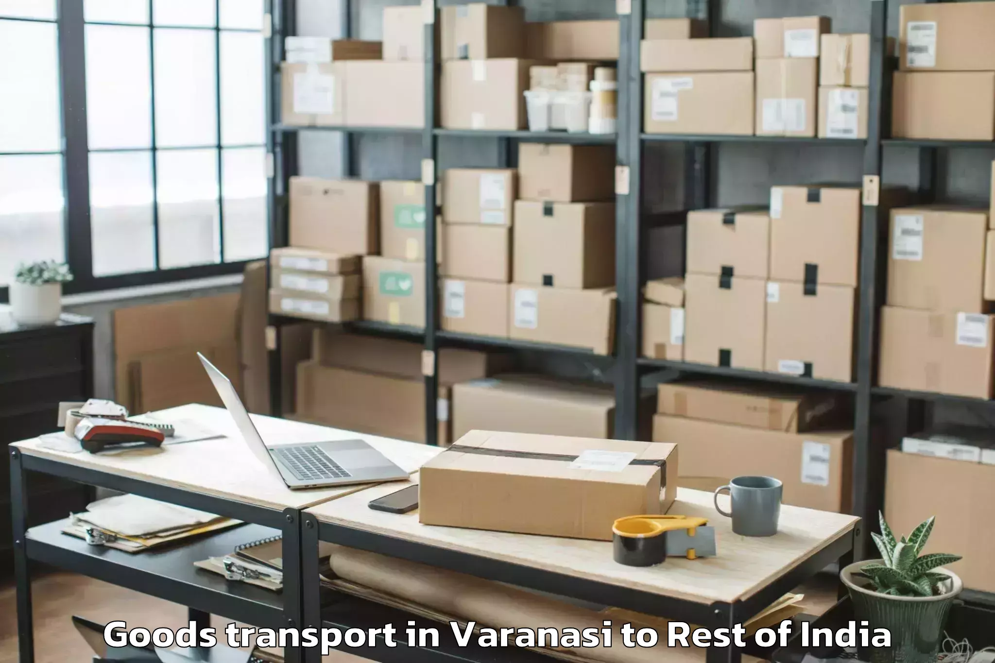 Quality Varanasi to Tindola Goods Transport